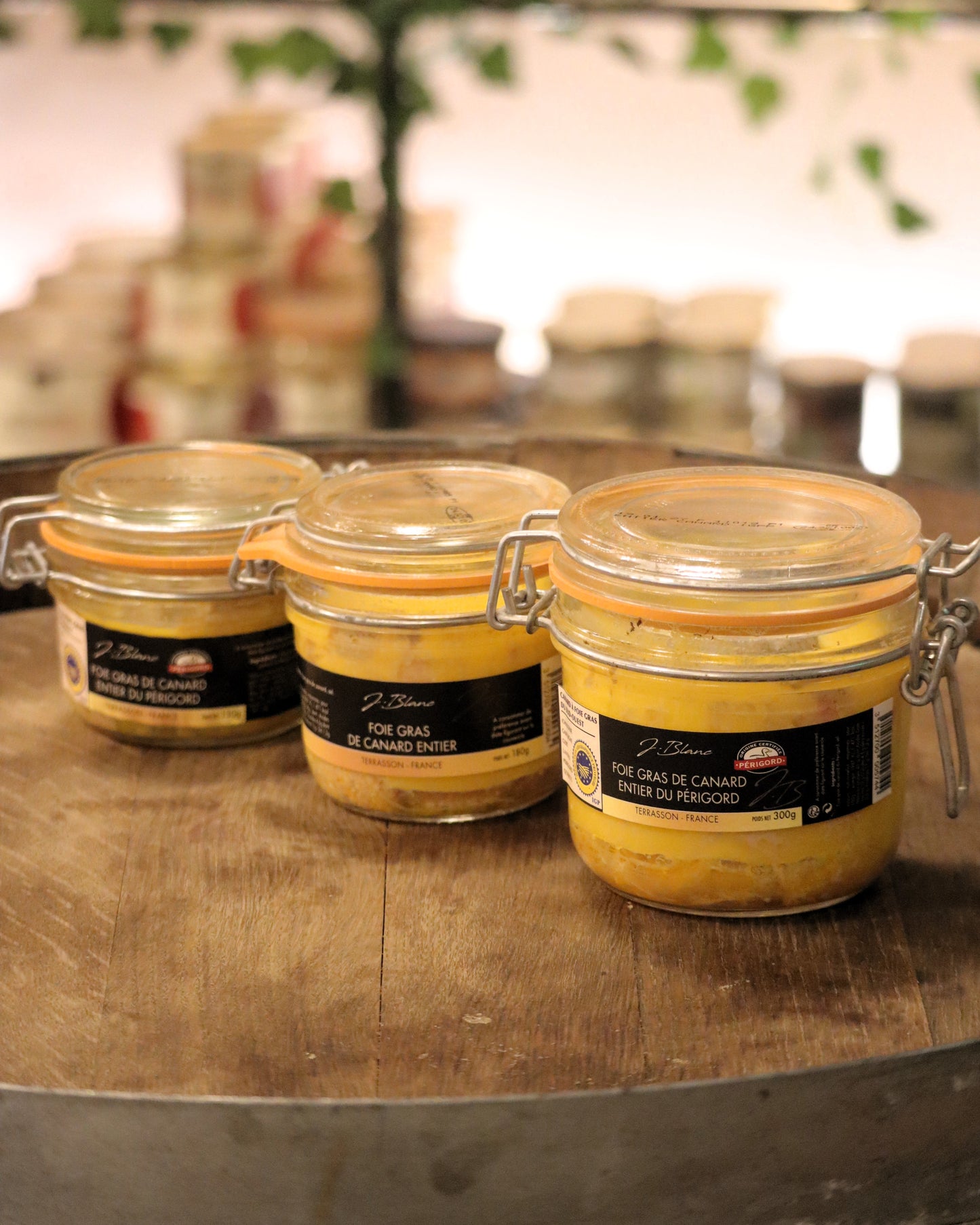 Premium Wine Tasting Paris